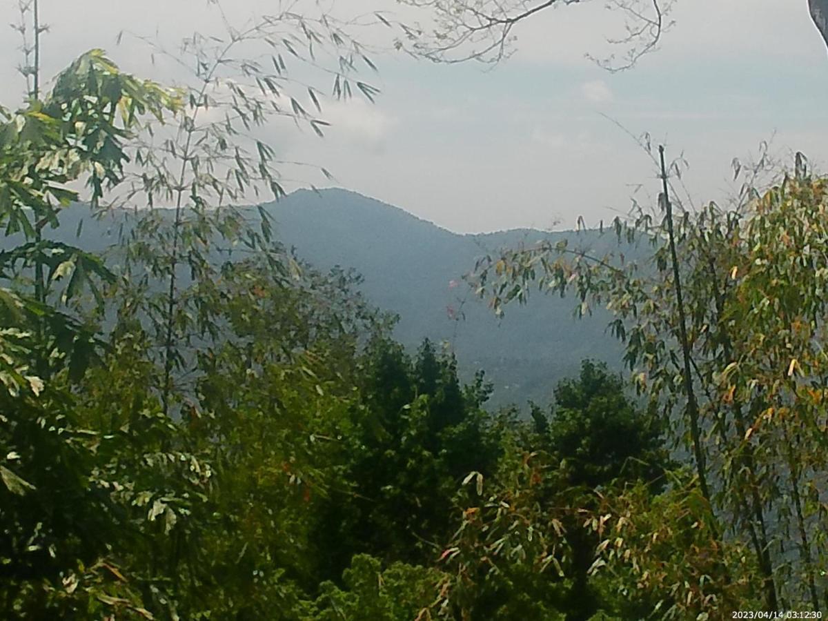 Mountain View Homestay Калимпонг Екстериор снимка