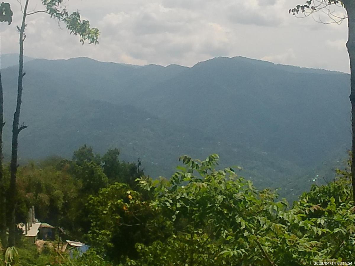 Mountain View Homestay Калимпонг Екстериор снимка