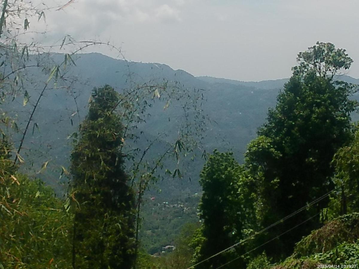 Mountain View Homestay Калимпонг Екстериор снимка