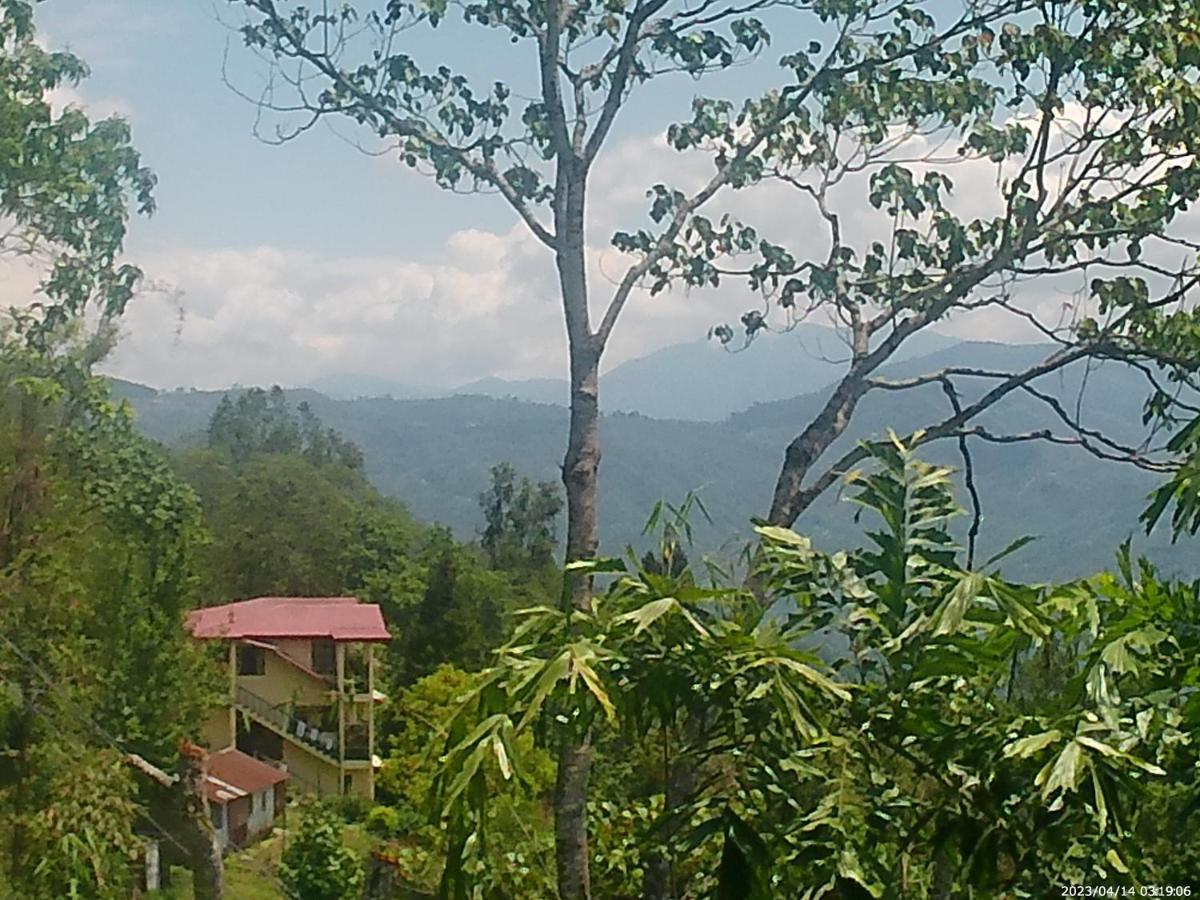 Mountain View Homestay Калимпонг Екстериор снимка